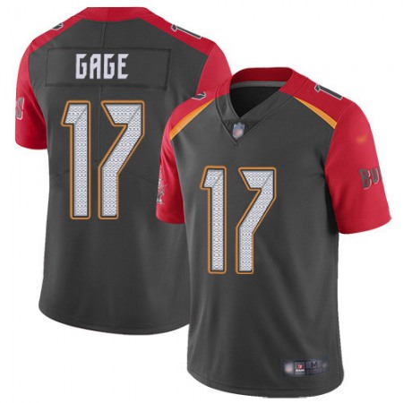 Nike Buccaneers #17 Russell Gage Gray Men's Stitched NFL Limited Inverted Legend Jersey