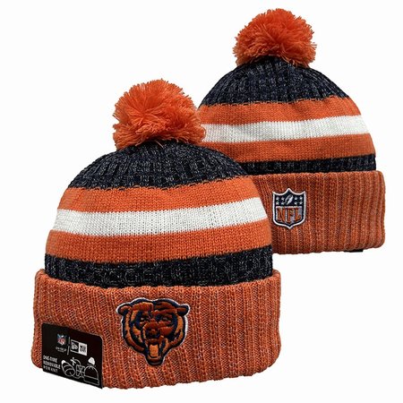 Chicago Bears Beanies Knit Hat